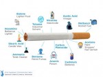 What Are The Main Ingredients In Cigarettes?